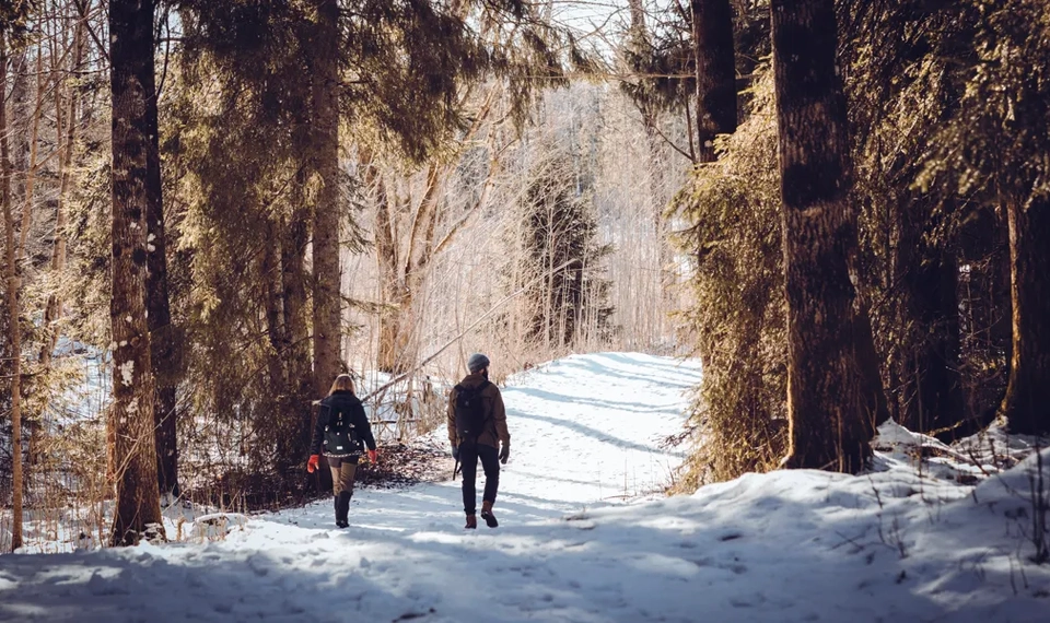 Vänner som vintervandrar i skogslandskap i .