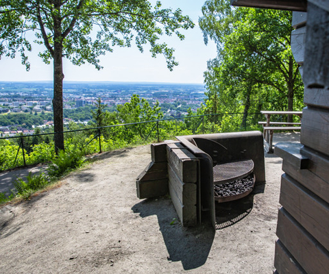 en grillplats med utsikt över standen