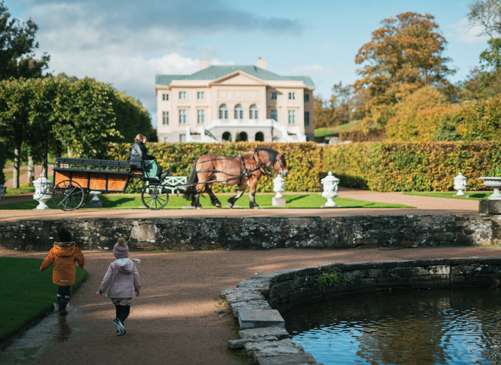 Nybörjartur – en vacker vandring bland slott, ekskog och sjö