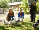 En grupp människor som knäböjer bredvid kycklingar.