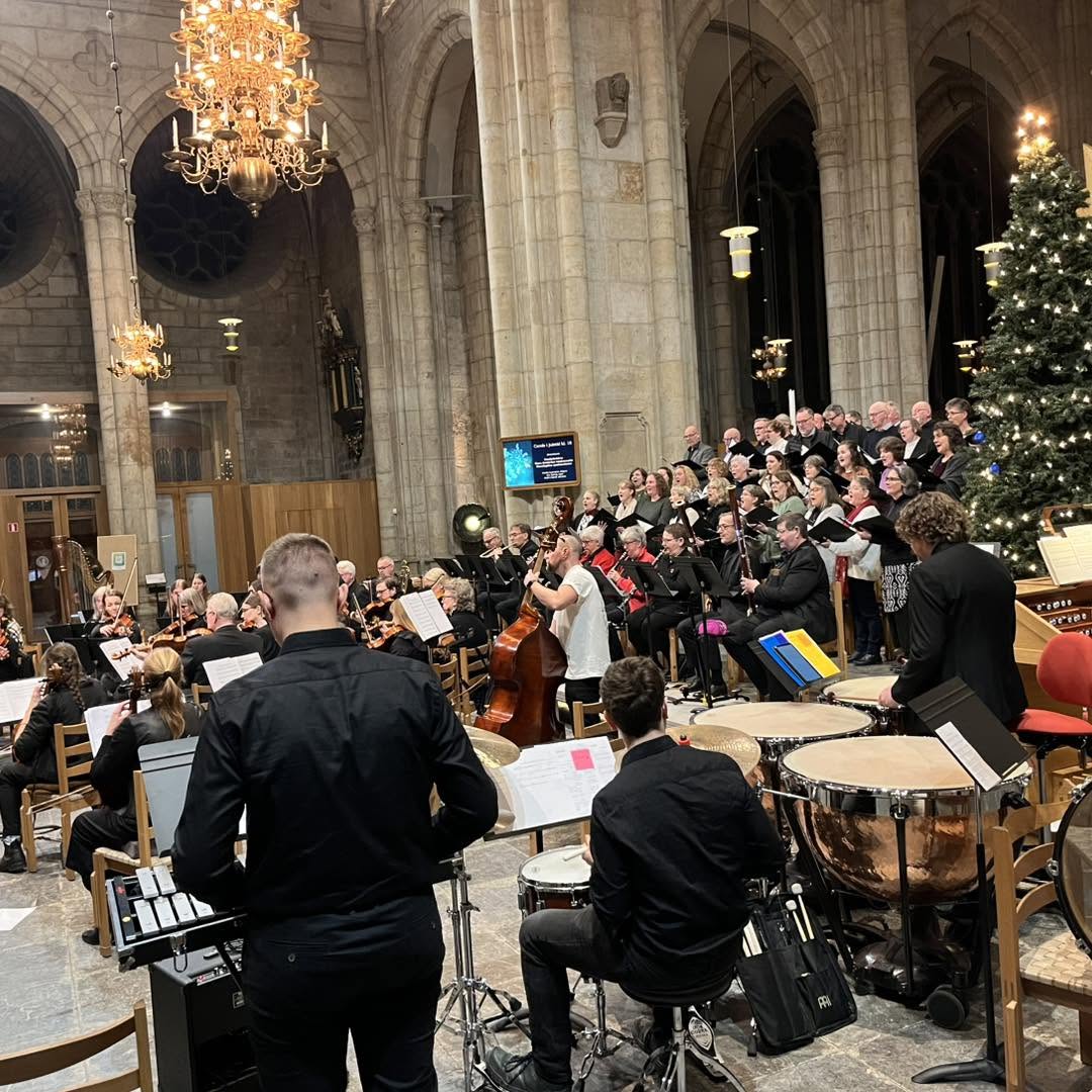 Carols i domkyrkan