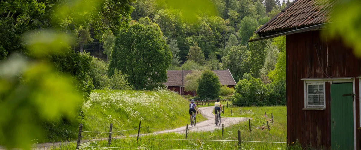 A couple of people riding bikes 