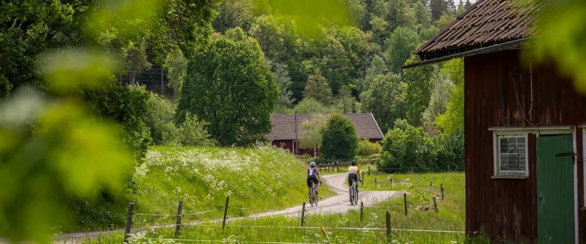 A couple of people riding bikes 