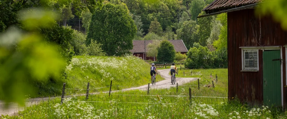 Cykling på natursköna Ljungleden.