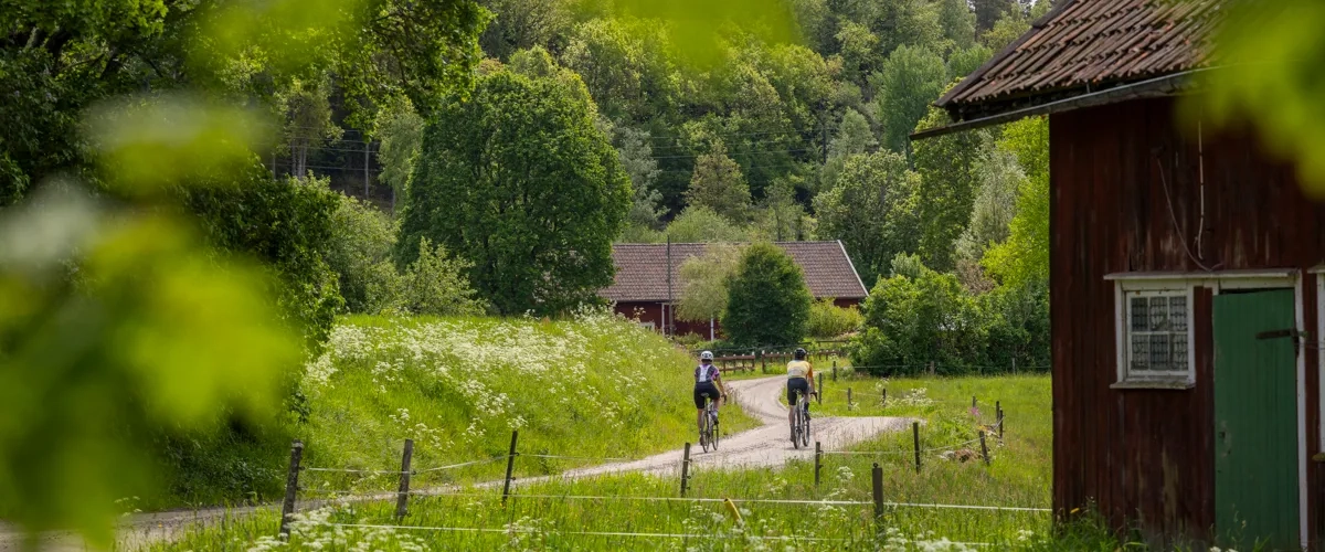 A couple of people riding bikes down a dirt road.
