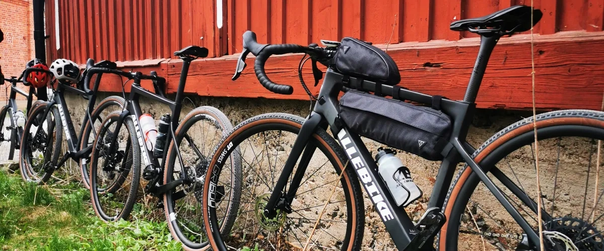 The Dalsland experience