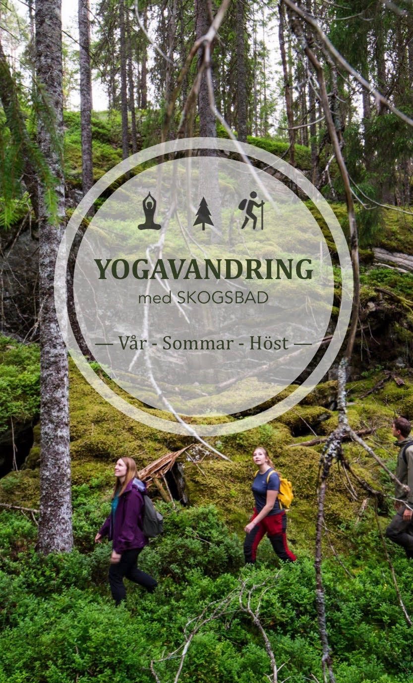 Yogavandring & skogsbad på Kroppefjäll