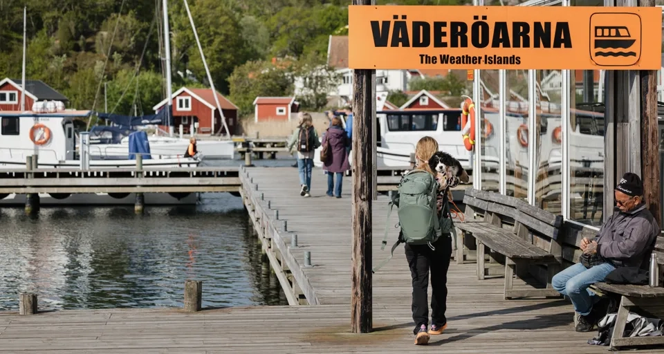 Människor som rör sig i skärgårdsmiljö.