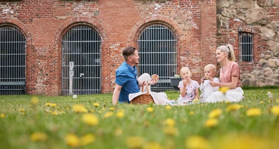 Familj har pick-nick i gräs.