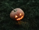 Halloweenpumpa på gräsmatta