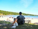 Man med hund sitter vid en sandstrand