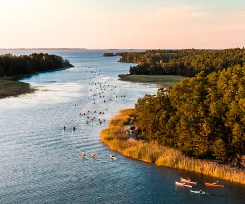 Många kajakpaddlare på led i skärgården i kvällssolen.