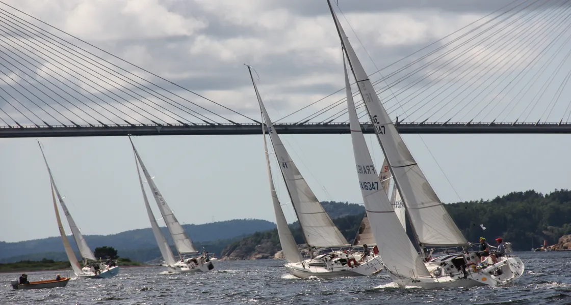 Pantaenius Bohusracet