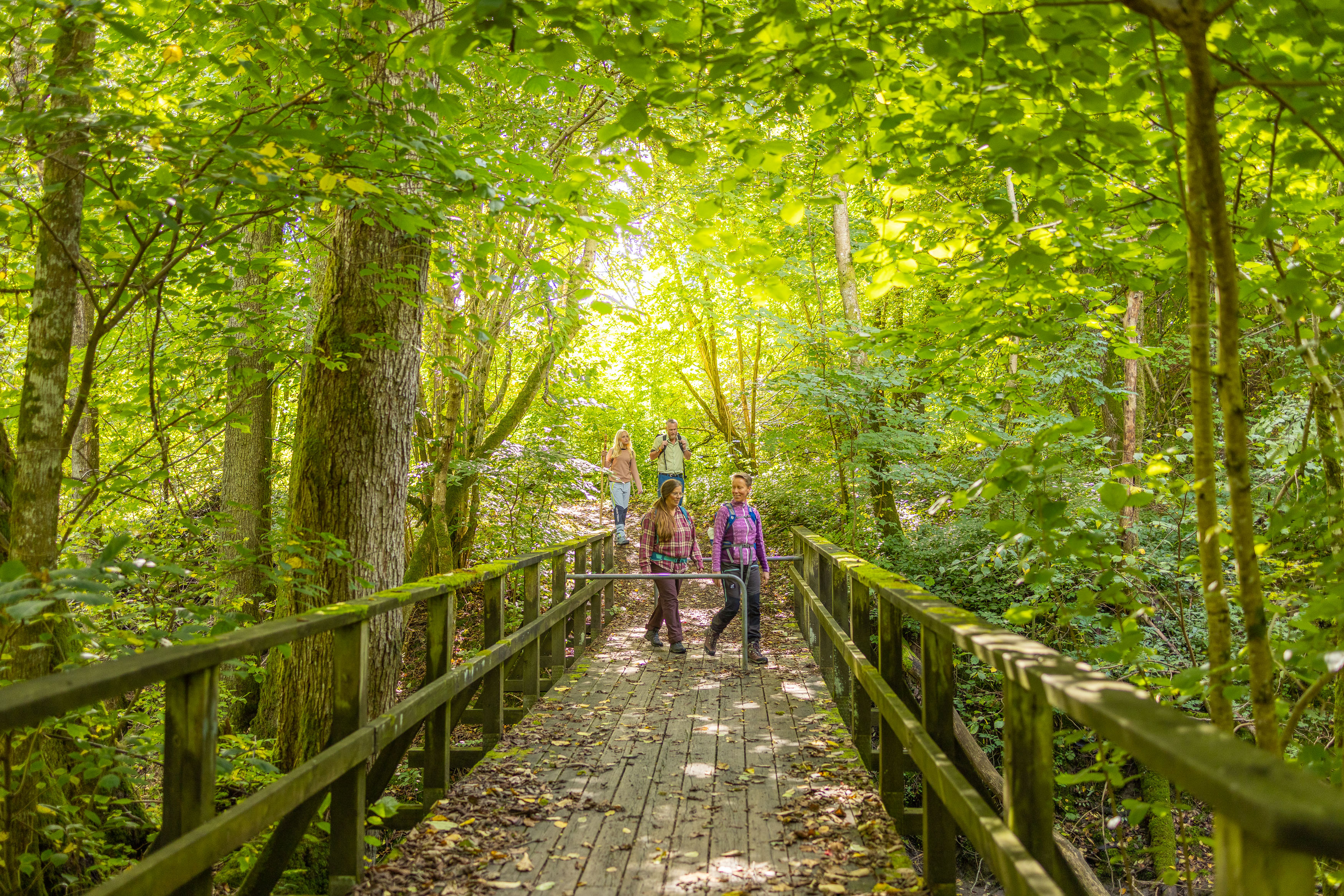 Vandring på Pilgrimsleden för nybörjare 