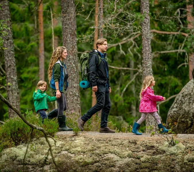 A group of children walking through a forest.