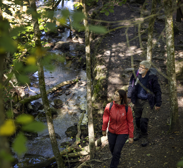 Two people walking along a stream in a forest setting.