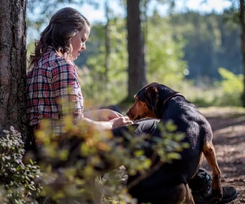 Flicka med hund sitter vid en tall