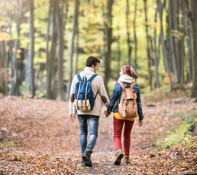 Par vandrar i skogen