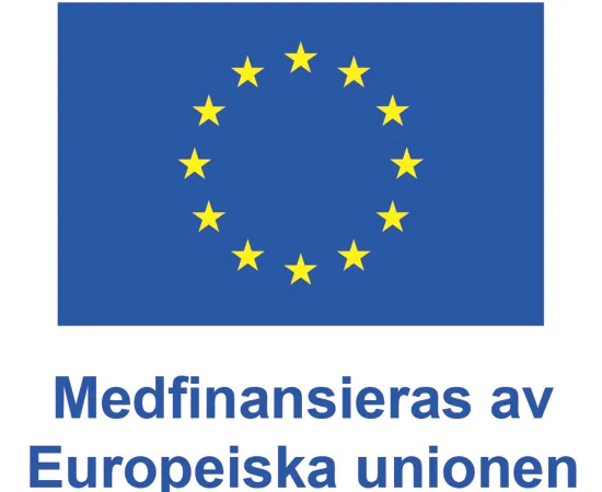 EU-flaggan, blå botten med tolv gula stjärnor i ring.