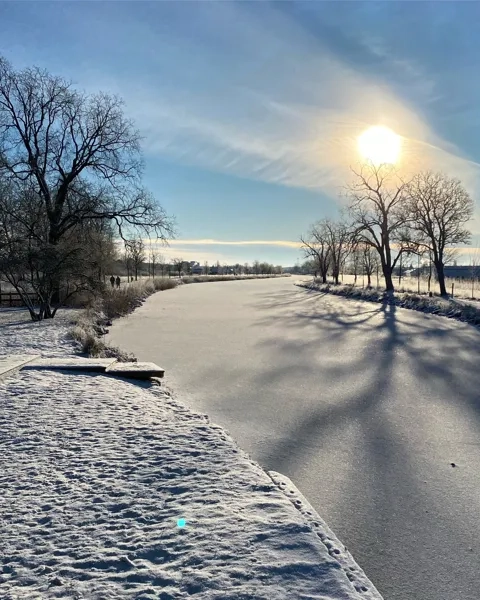 The sun is shining over a snowy road.