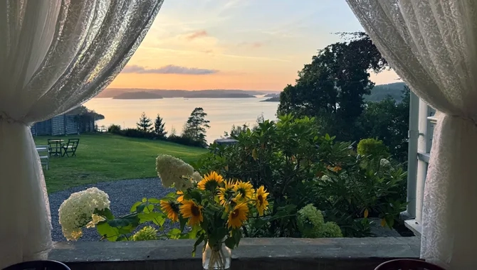 A vase of flowers sitting on top of a window sill.