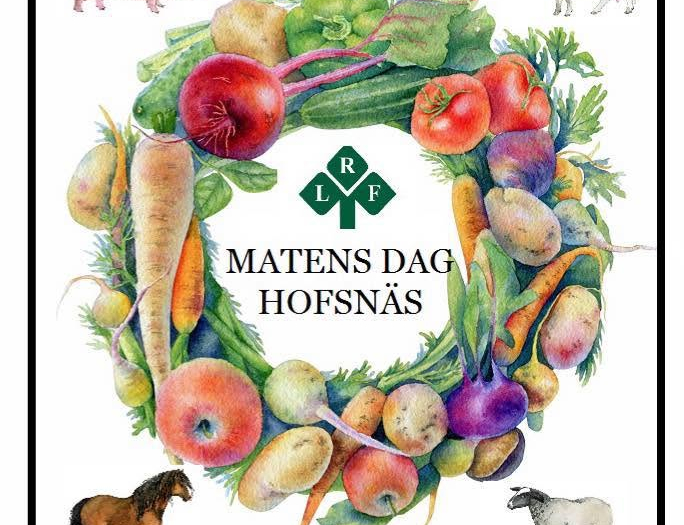 🌾 Matens Dag på Hofsnäs 🌾