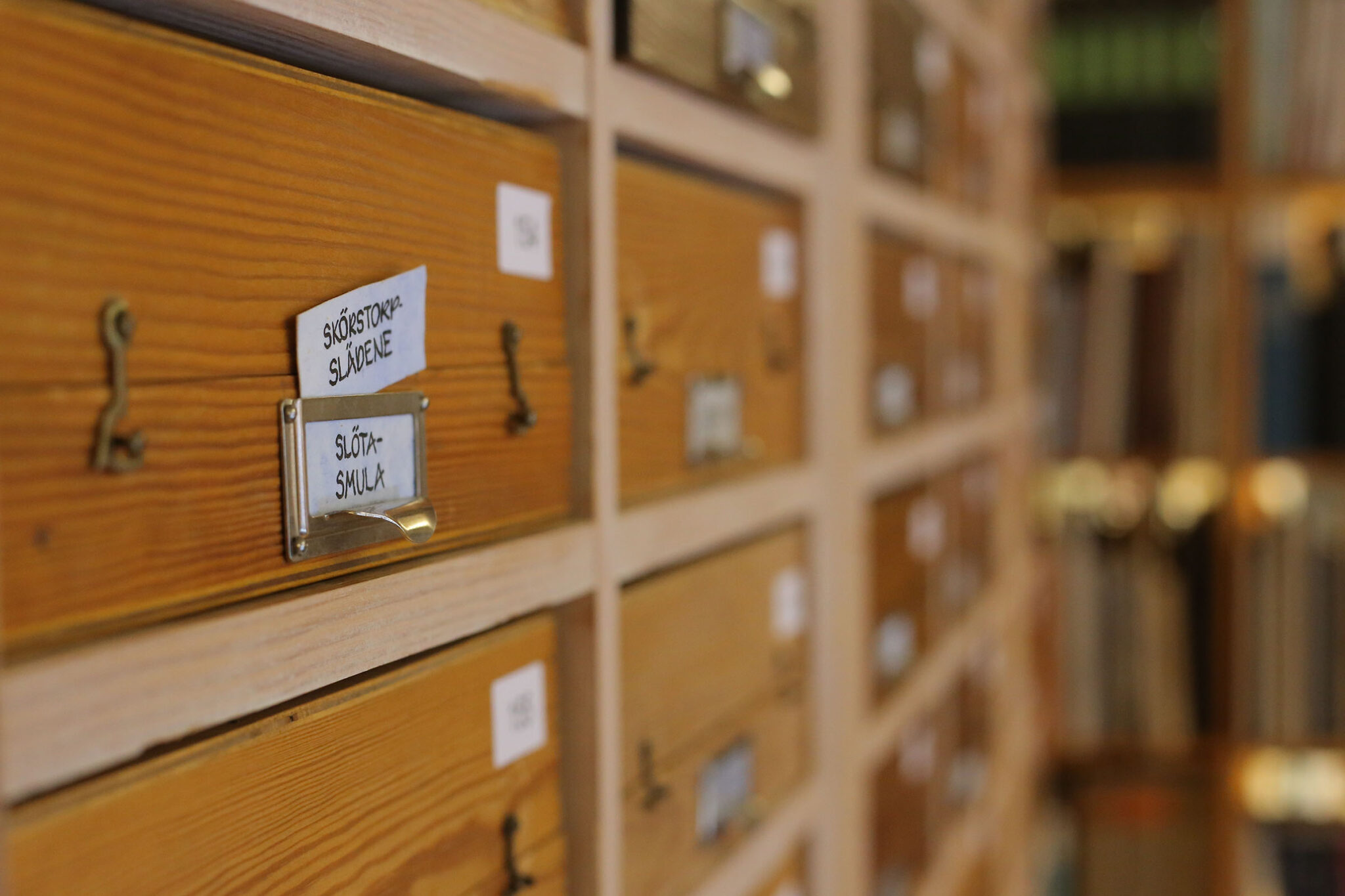 Öppen visning av Arkivprogrammet