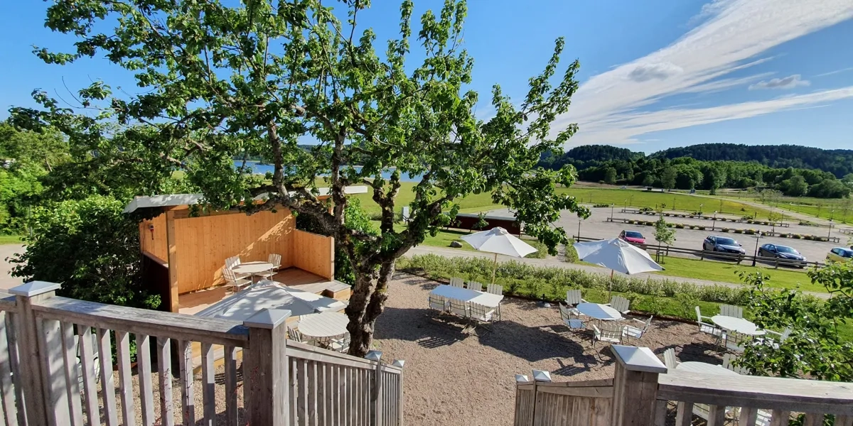 Vy utöver sommar trädgård och viken 