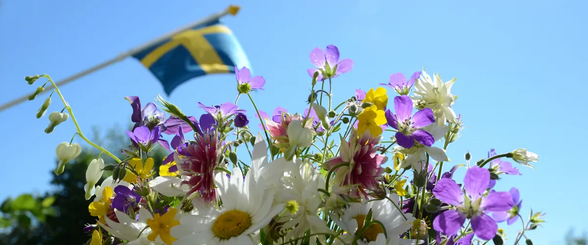 Midsommar på Laxsjöns Camping
