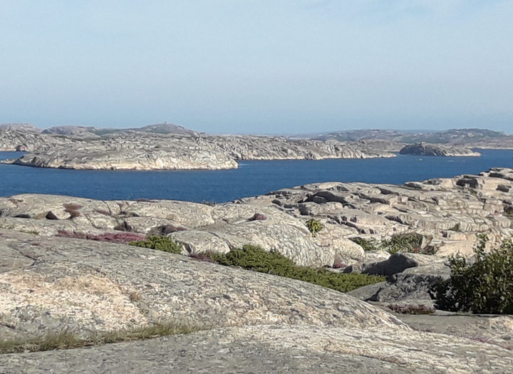 Vandring på Hamburgö