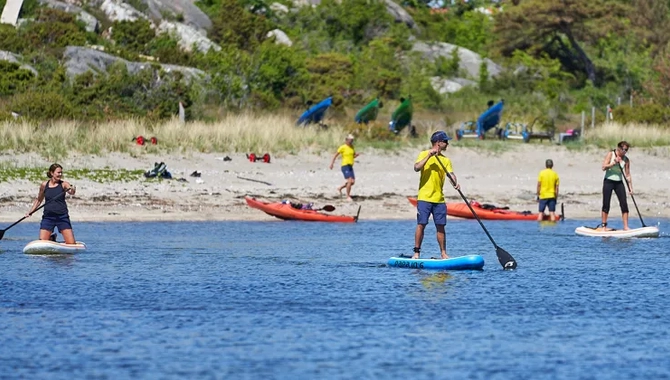 En grupp människor som åker på paddelbrädor på ett vattendrag.