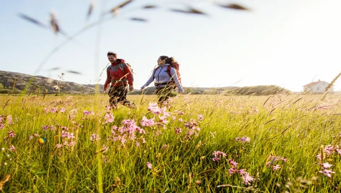 Två personer vandrar på äng