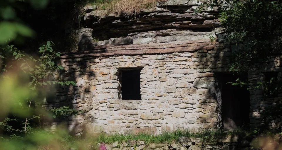 Träden är gröna runt Lasses gotta, en härlig sommardag.