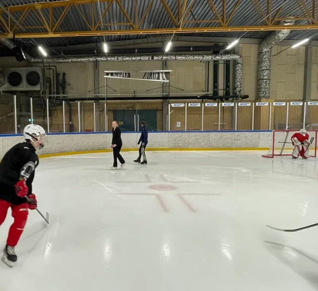 En grupp människor som spelar en match i ishockey.