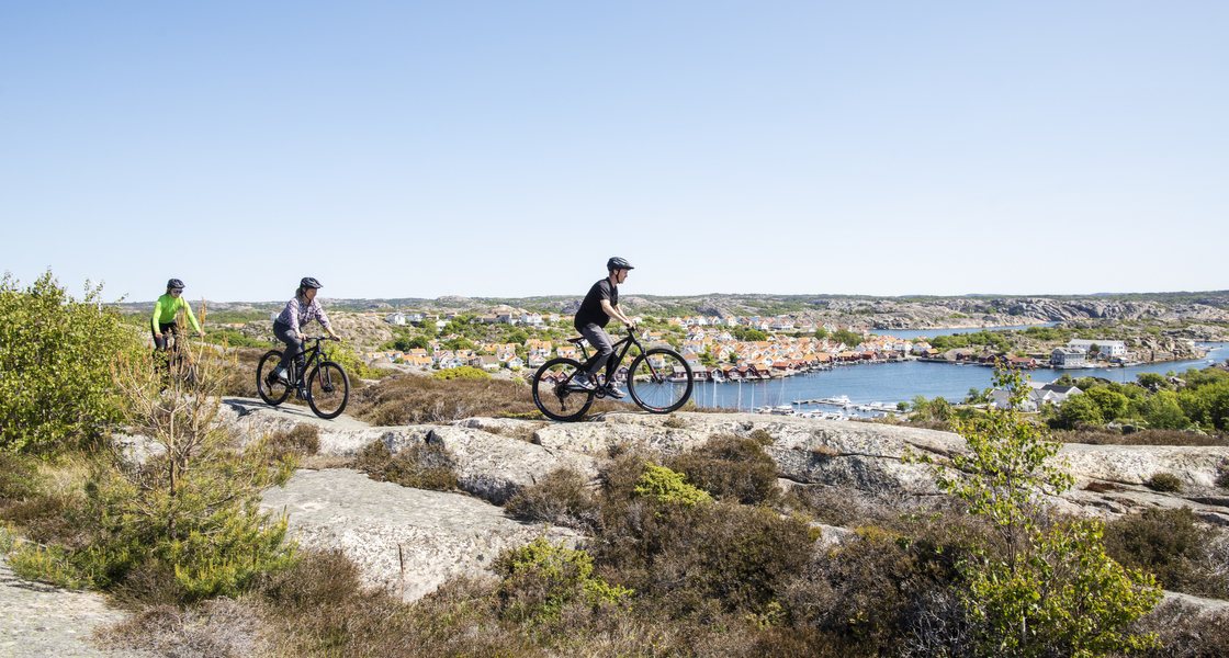 A group of people riding bikes on top of a hill.