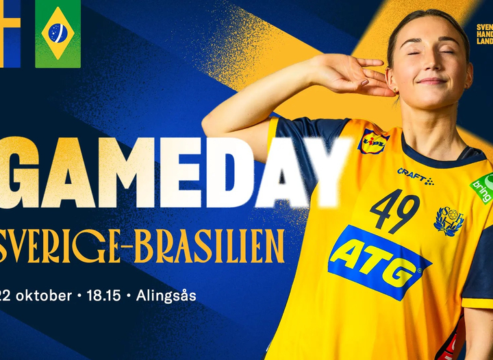 Sverige- Brasilien 
