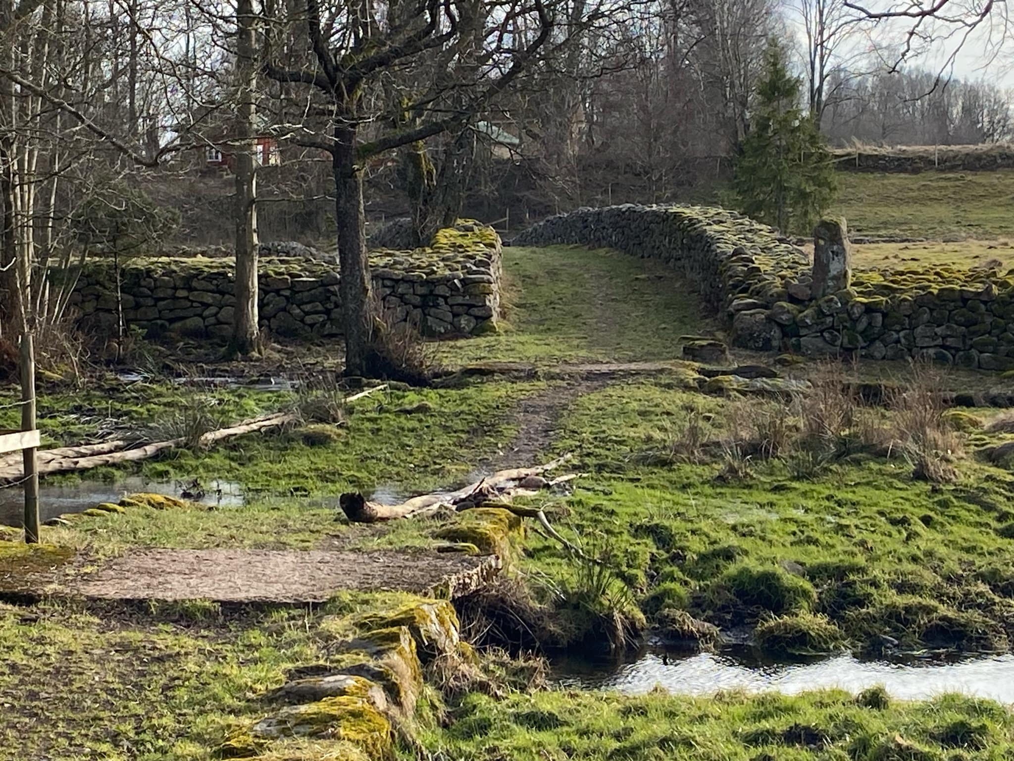 VANDRING I ISÄLVENS SPÅR – STENMURSLANDSKAPET I VÄSMESTORP