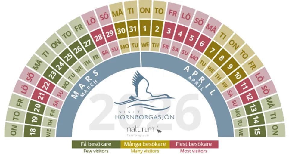 graf som visar när det är fler och färre besökare på trandansen