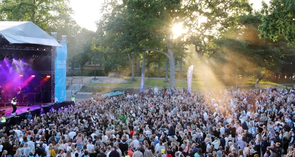 Publik som tittar på en konsert