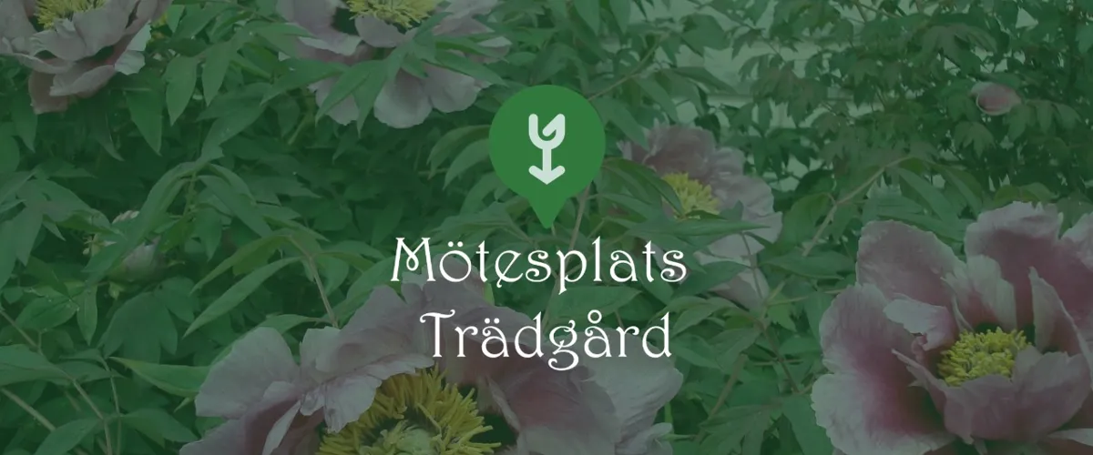 Mötesplats Trädgård