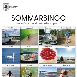 Bingobricka med 16 olika bilder.