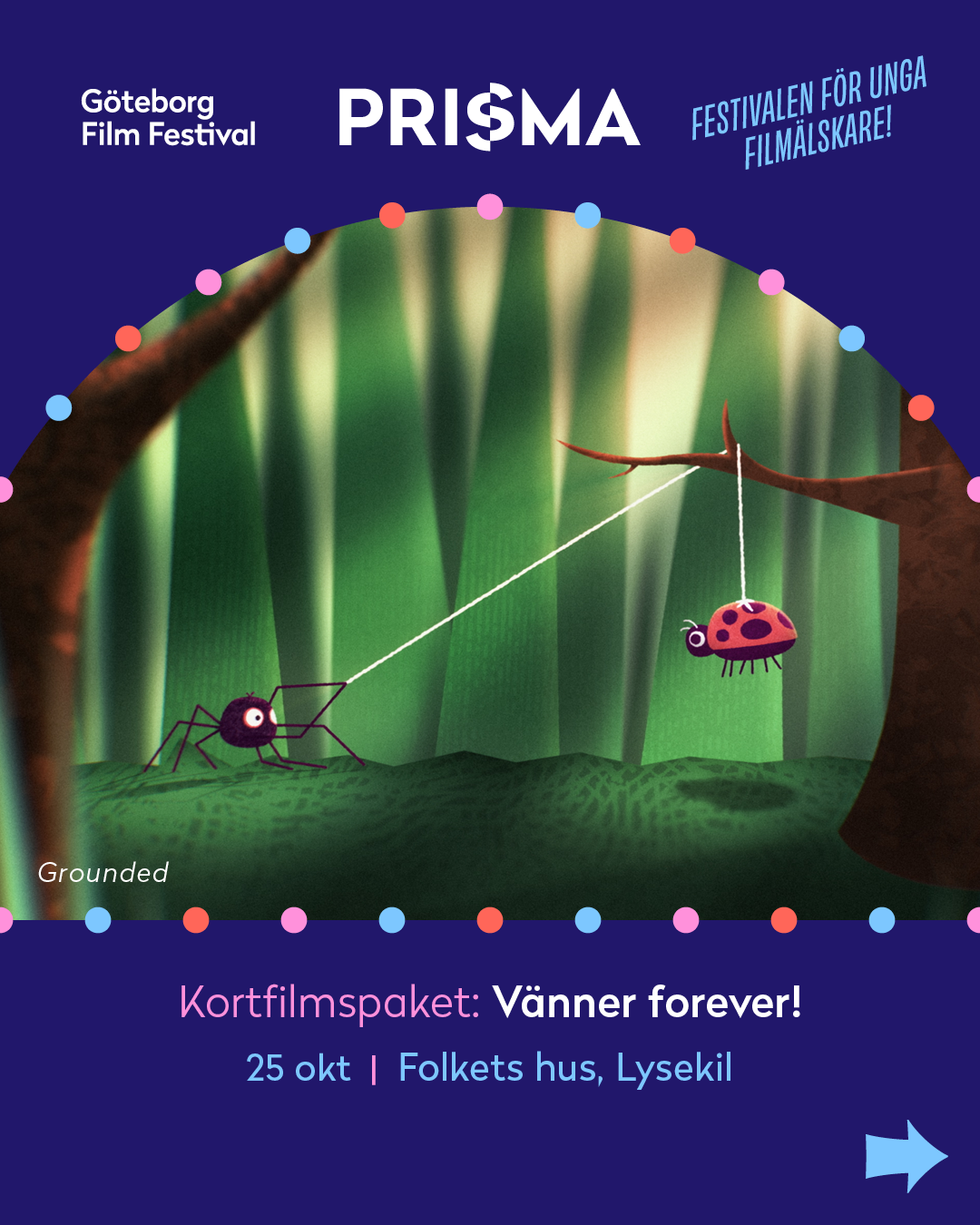 spindel som drar upp en nyckelpiga i ett snöre