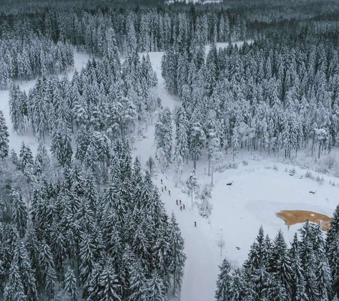 An aerial view of a snow covered forest.