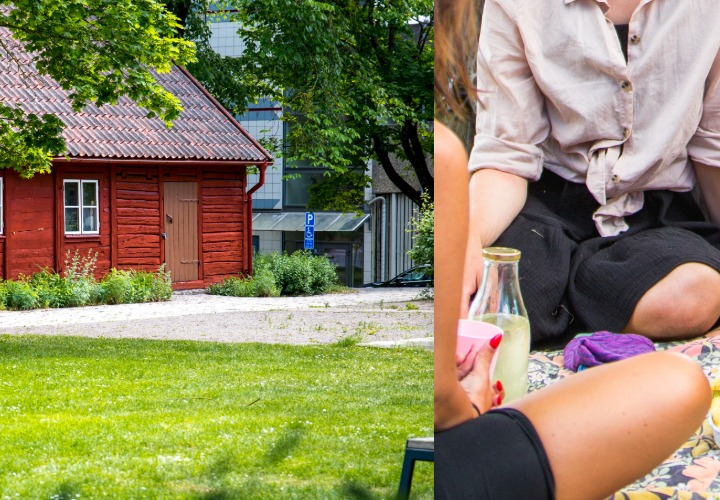 Picknickdebatt för förstagångsväljare