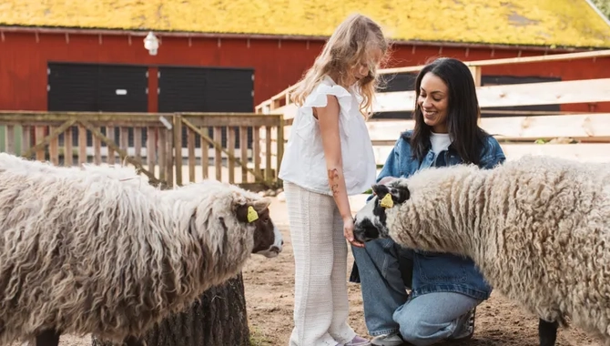 En kvinna knäböjer för att klappa ett får.