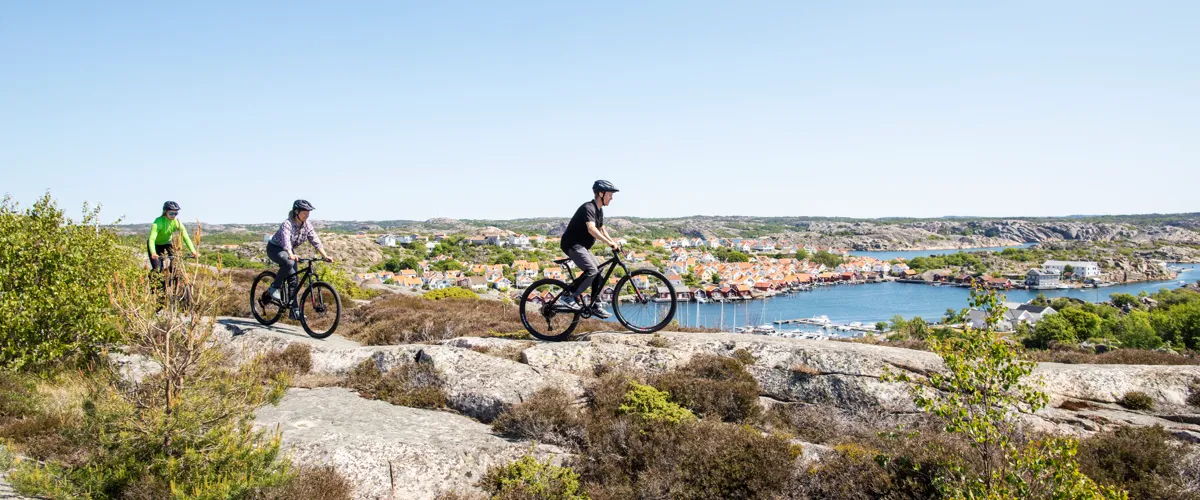 A group of people riding bikes on top of a hill.