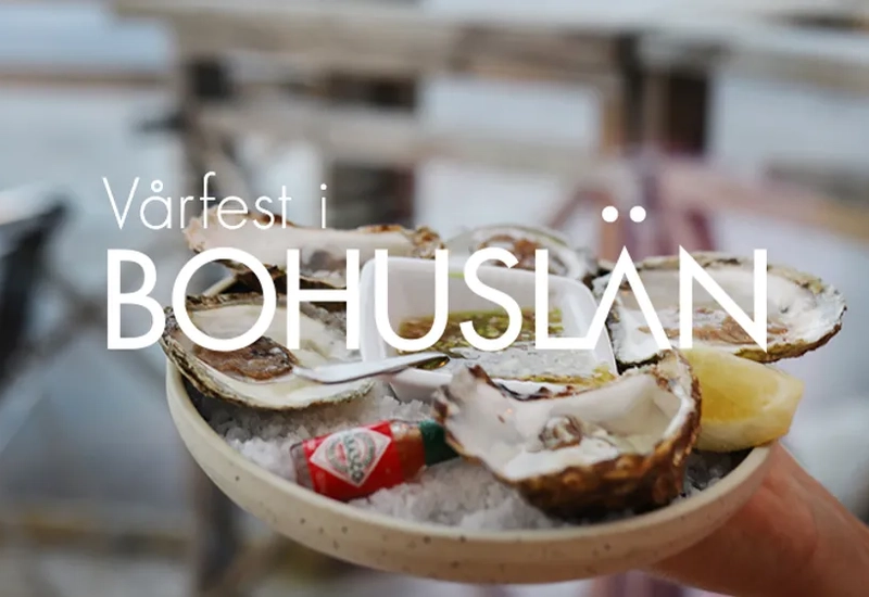 En person som håller en skål med ostron i sin hand från bohuslän.