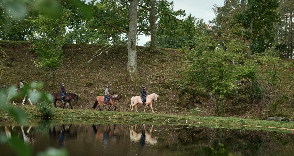En grupp människor som rider på hästar intill ett vattendrag.