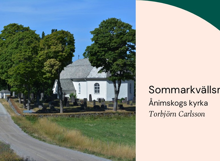 Sommarkvällsmusik ”Den vackra vägen”