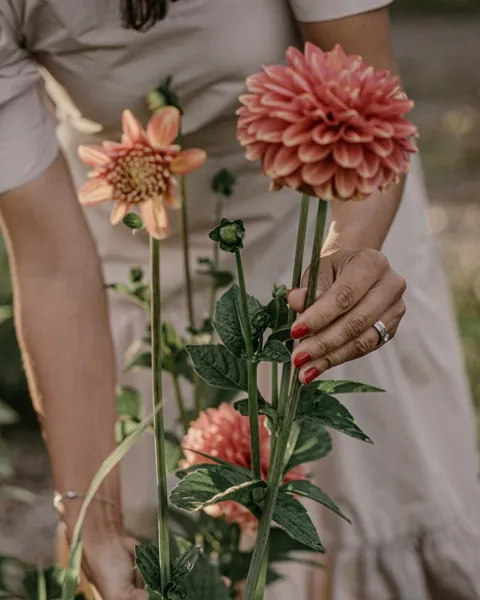 Blommor för självplock